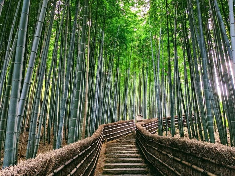 Kyoto:Quiet Arashiyama and Sagano Temples - Who should book this walk