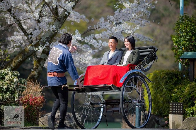 Kyoto Rickshaw Tour - What you see in 30 minutes
