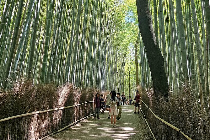 Kyoto's Arashiyama Bamboo Grove: 3-Hour Guided Tour - Key points at a glance
