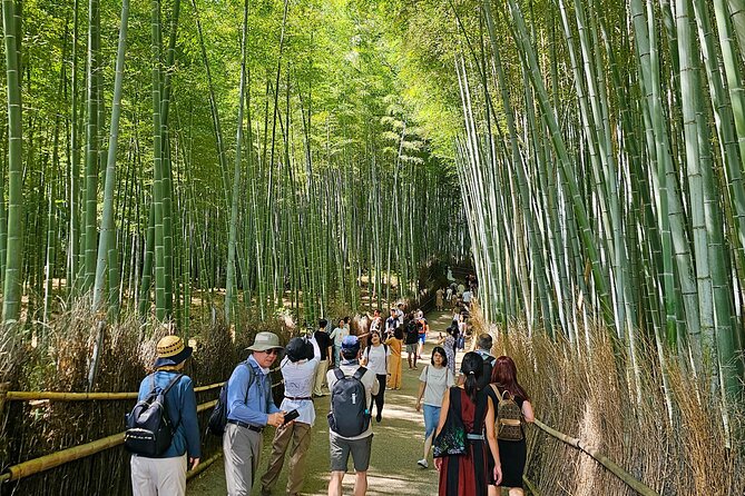 Kyoto's Arashiyama Bamboo Grove: 3-Hour Guided Tour - Tenryuji Temple and the ¥800 entrance fee