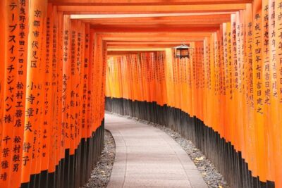 Kyoto’s Top City Highlights: 2-Day Private Tour Experience