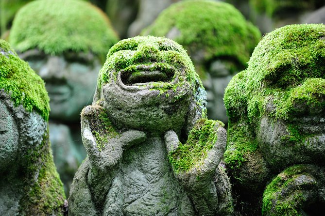 Kyoto Sagano Insider: Rickshaw and Walking Tour - What the Three-Hour Schedule Feels Like