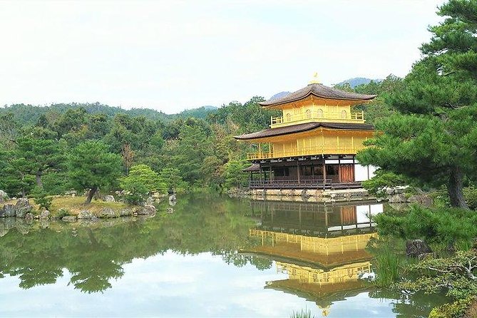 Kyoto Samurai and Geisha Town Private Walking Tour - What the private guide adds