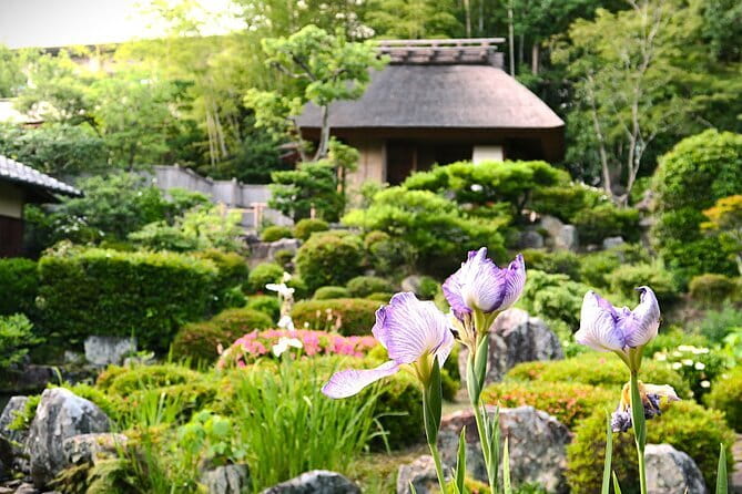 Kyoto Shogun Cycling Tour - Kinkakuji, where gold meets shogun power