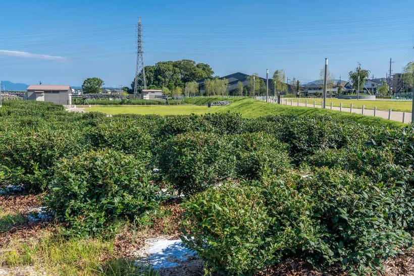 Kyoto: Tea Museum Tickets and Matcha Grinding Experience - Who will enjoy this most