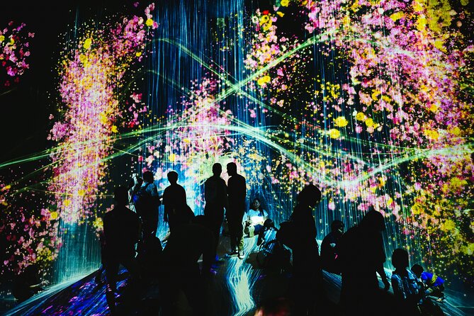 Kyoto TeamLab Biovortex & Kyoto Walking Tour - Key points to know before booking
