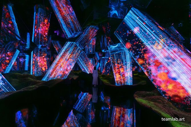 Kyoto TeamLab Biovortex & Kyoto Walking Tour - What the guide and transportation add