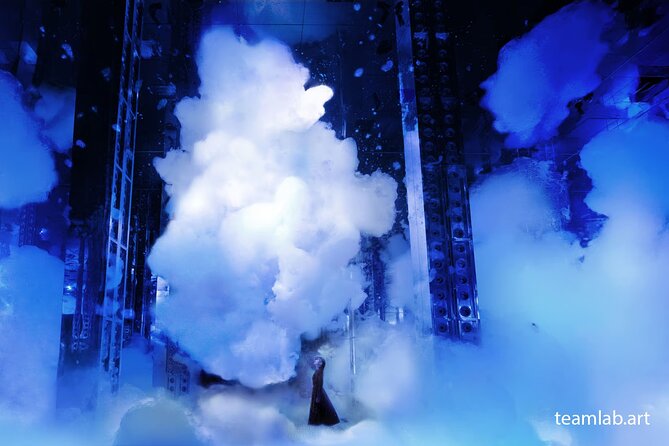 Kyoto TeamLab Biovortex & Kyoto Walking Tour - Is $72 a fair price?