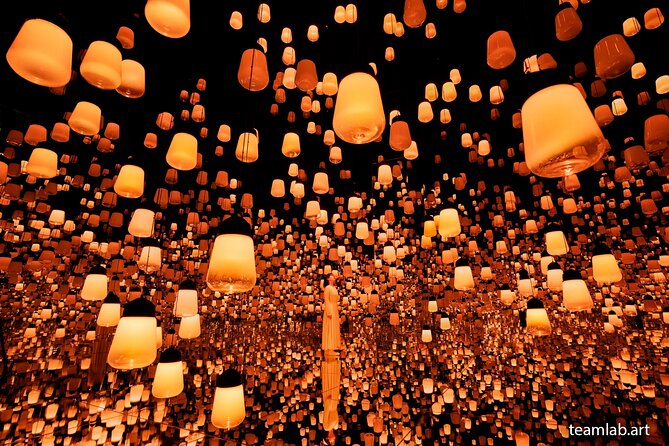 Kyoto TeamLab Biovortex & Kyoto Walking Tour - Who will enjoy this tour most?