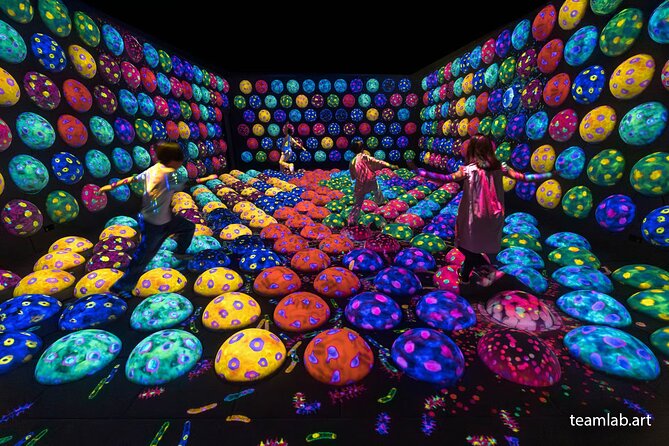 Kyoto TeamLab Biovortex & Kyoto Walking Tour - Timing, meeting point, and practical details