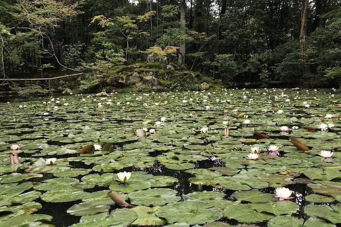Kyoto: The Path Less Traveled (Private) - Chishaku-in and its painted screens