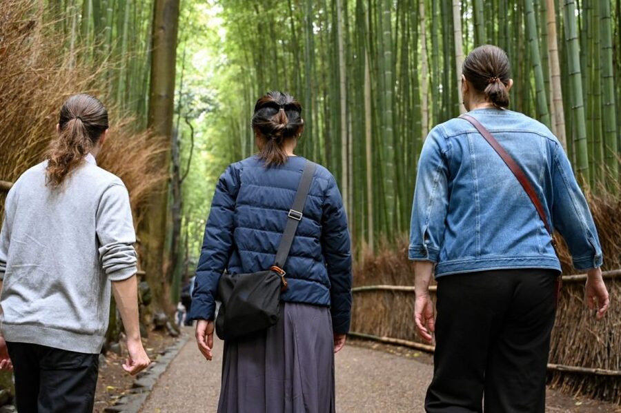 Kyoto to Arashiyama Day Trip - Private & Personalized - Why Arashiyama Works Best With a Flexible Route