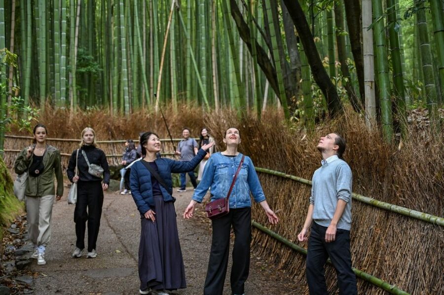 Kyoto to Arashiyama Day Trip - Private & Personalized - Starting Near the Mister Donut