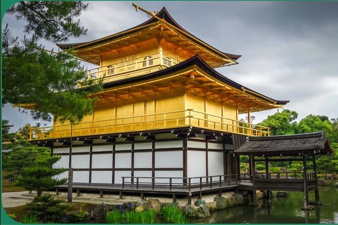 Kyoto tour 12 hours Private Nagoya pick up available - Nishiki Market for food and a break