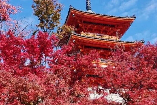 Kyoto tour 12 hours Private Nagoya pick up available - Arashiyama and Togetsukyo Bridge