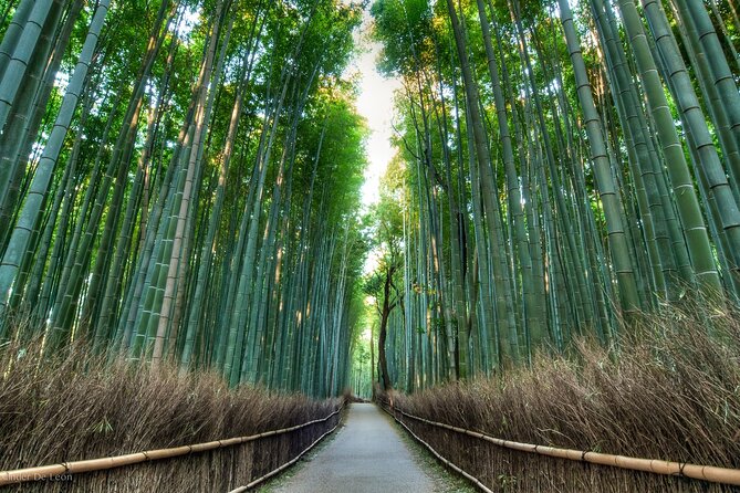 Kyoto tour with English Speaking Chauffeur - Kyoto Imperial Palace: broad grounds and royal history