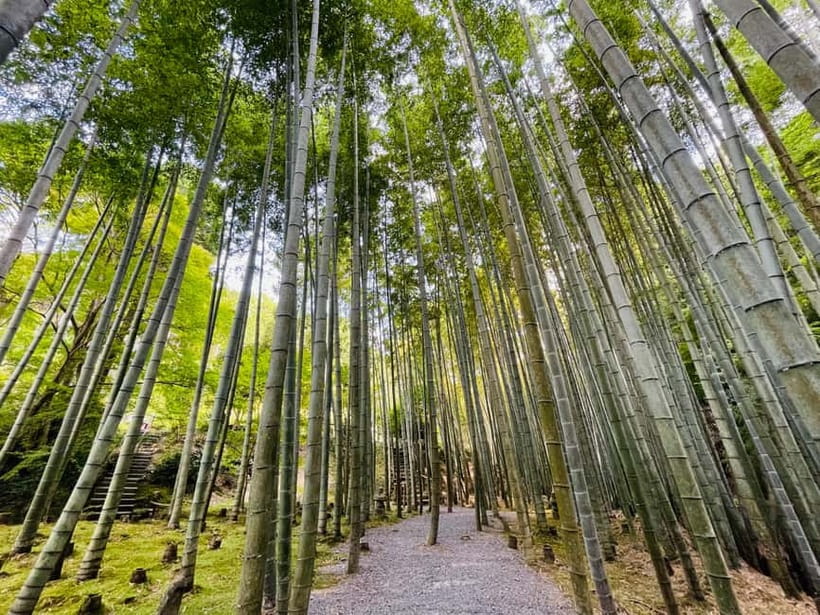 Kyoto : True Kyoto Avoid the crowds E-Bike Tour - Starting at Raku-chari’s Sanjo branch