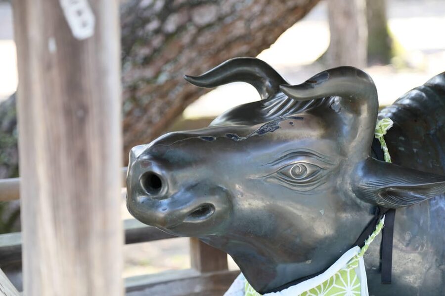 Kyoto: Try Nishijin Weaving in the Oldest Geisha District - Weather, seasons, and the pace of the day