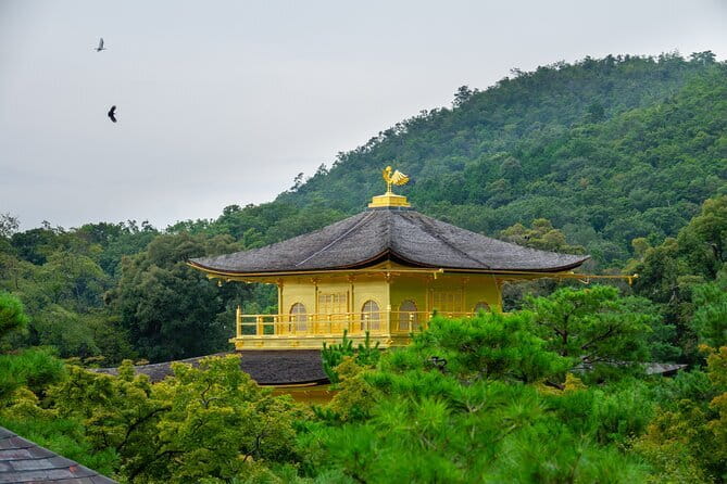 Kyoto & Uji: Full Day Sightseeing Tour from Osaka or Kyoto - Kinkaku-ji opens the day with Kyoto’s famous gold