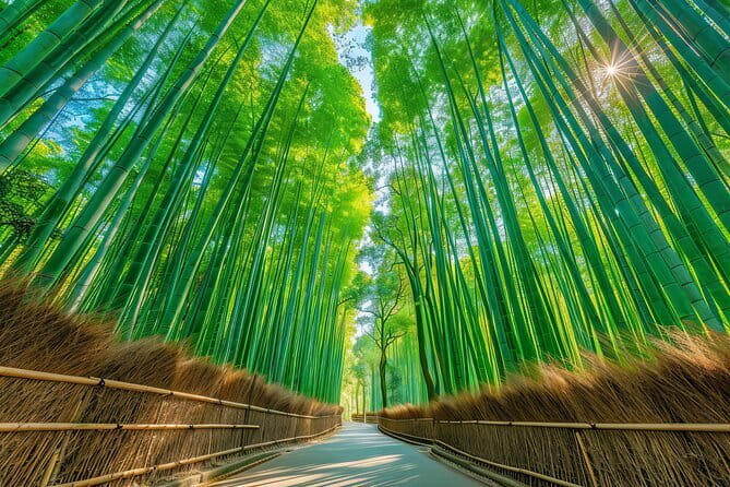 Kyoto & Uji: Full Day Sightseeing Tour from Osaka or Kyoto - Uji River changes the pace