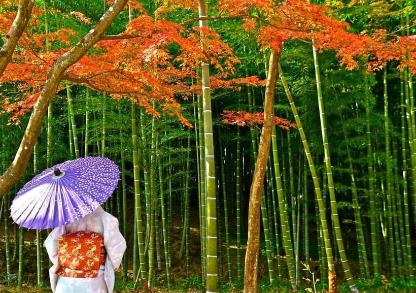 Kyoto UNESCO World Heritage Sites 1d Tour from Osaka/Kyoto - Why this Kyoto day tour works