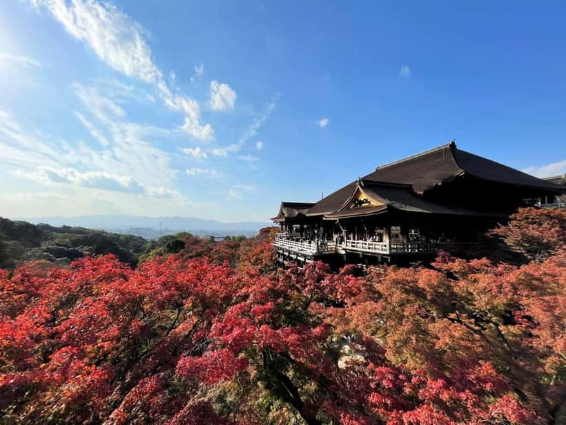 Kyoto UNESCO World Heritage Sites 1d Tour from Osaka/Kyoto - Arashiyama, where nature takes the lead