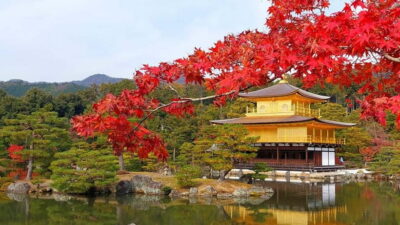 Kyoto UNESCO World Heritage Sites 1d Tour from Osaka/Kyoto