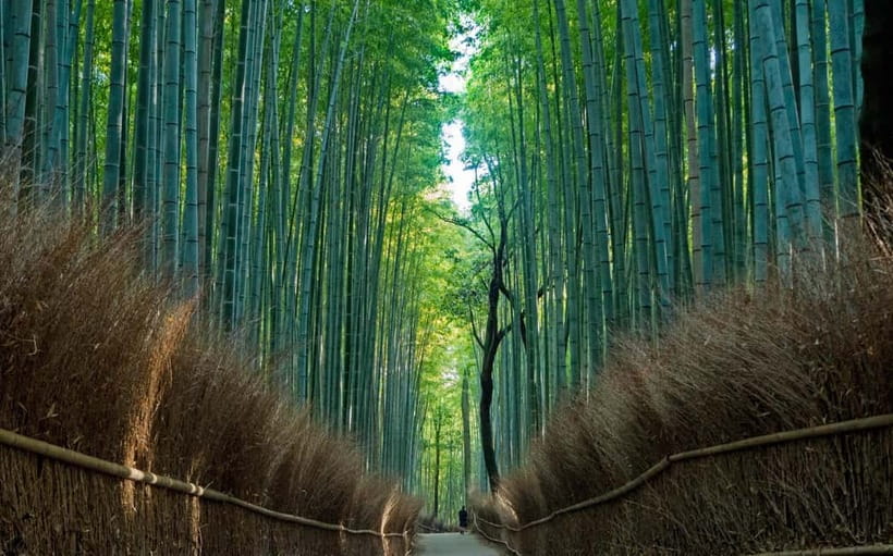 Kyoto UNESCO World Heritage Sites 1d Tour from Osaka/Kyoto - Sanjusangen-do and its 1,001 golden figures