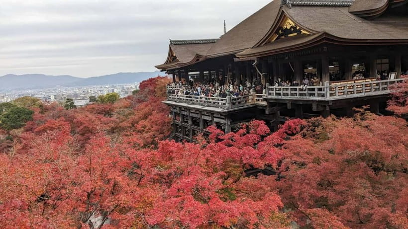 Kyoto: Walking tour Kiyomizu, Geisha District with a Local - Understanding Kiyomizu Temple with a local guide