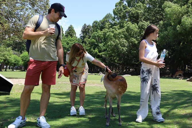 Luxury Kyoto 1-Day Private Car Tour with Nara & Osaka Options - Nara and Osaka give the private format more range