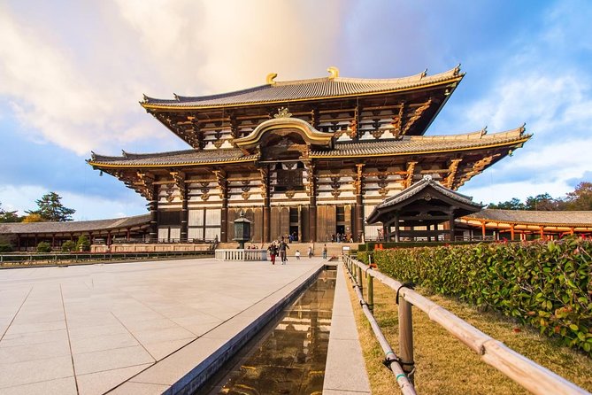 Nara Afternoon Tour from Kyoto or Osaka - Why this half-day trip works well from Kyoto
