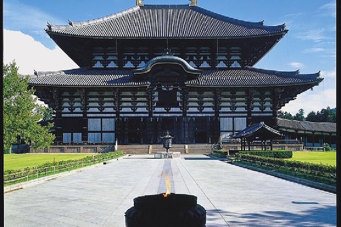 Nara Afternoon Tour from Kyoto or Osaka - Nara Park and the famous deer
