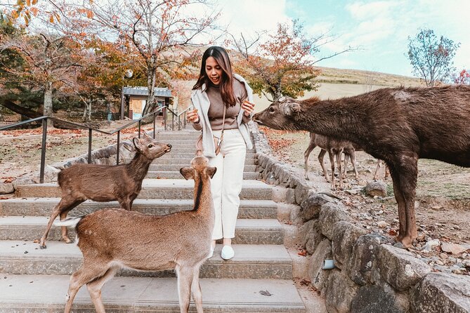 Nara Park, Osaka & Kobe from Kyoto Full Day tour - What the guide service is like