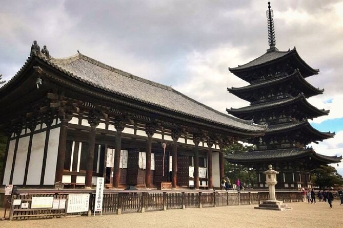 Nara Todaiji Kasuga Taisha Private Full Day Tour From Kyoto - Meeting Nara’s free-roaming deer in Nara Park