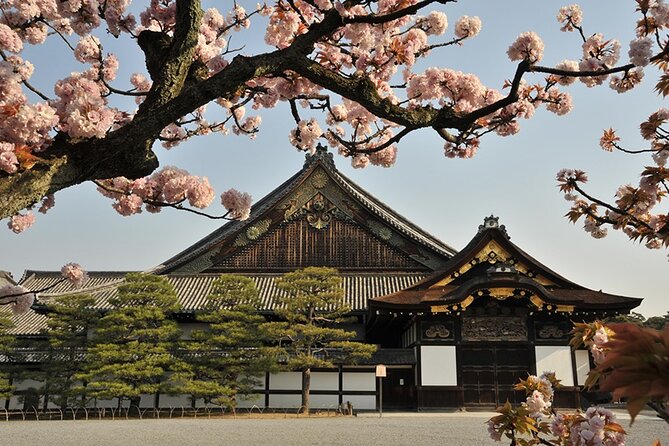 Nijo Castle Samurai Inside Story — Top-Rated Guide (Max 8) - Why the small group matters