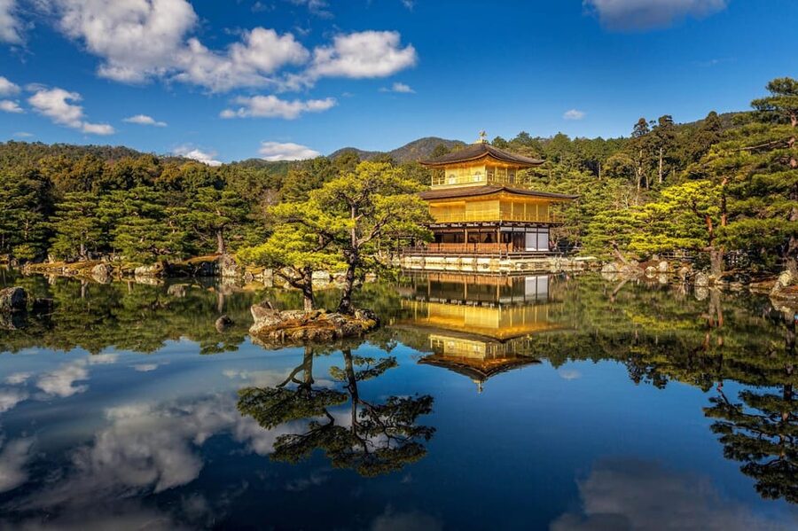 One Day Private Customized Self-Guided Tour in Kyoto - The driver can make or break the day