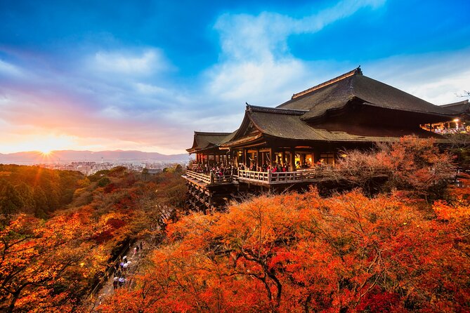 One-Day Tour of Kyoto's Highlights from Osaka/Kyoto - Arashiyama bamboo and the last stretch of the day