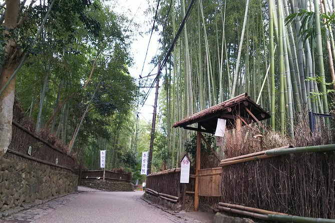One-Day Walking Tour : Enjoy Kyoto to the fullest! - Gion, where old streets meet modern Kyoto