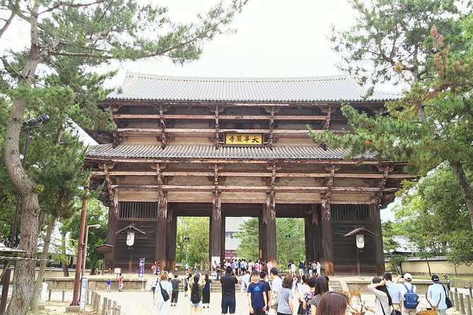 One-Day Walking Tour of Amazing 8th Century Capital Nara - Why Nara makes a fine day from Kyoto