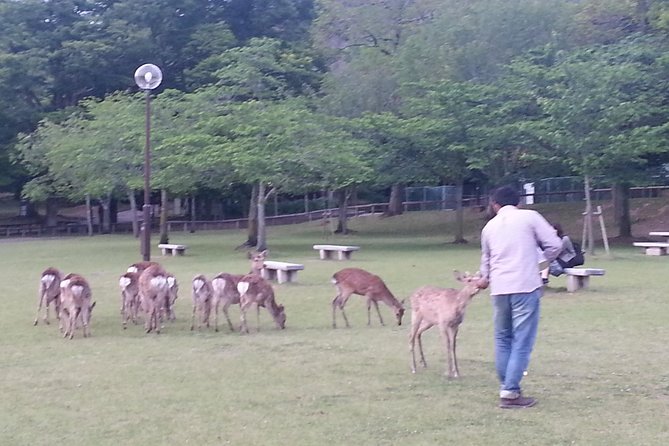 One-Day Walking Tour of Amazing 8th Century Capital Nara - Naramachi and the feel of old merchant Nara
