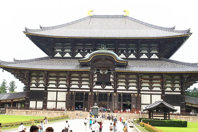 One-Day Walking Tour of Amazing 8th Century Capital Nara - Nara Park’s deer are part of the story