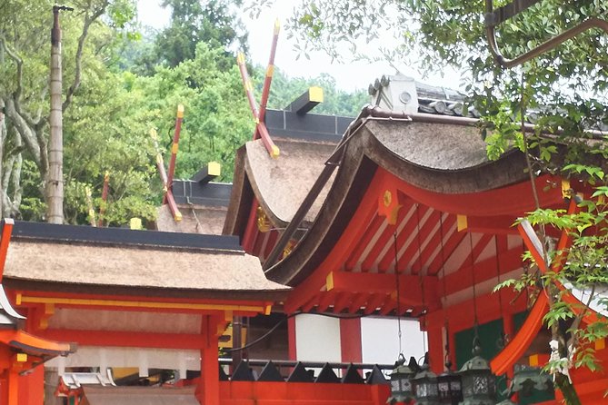 One-Day Walking Tour of Amazing 8th Century Capital Nara - What the private guide adds