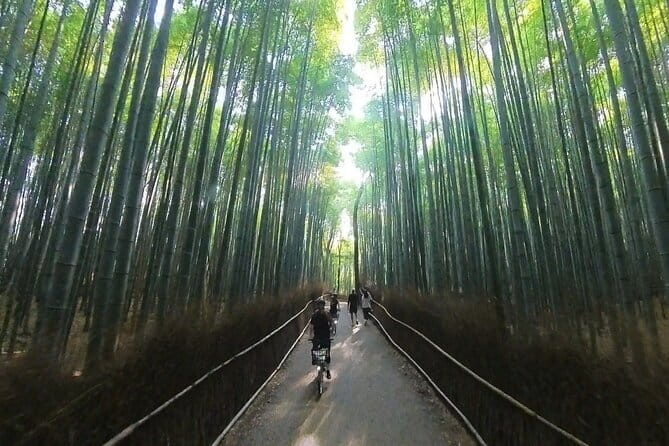 ONLY YOU in the Bamboo Forest! 4 hours E-bike tour with a local - Why an e-bike is the right tool for Arashiyama