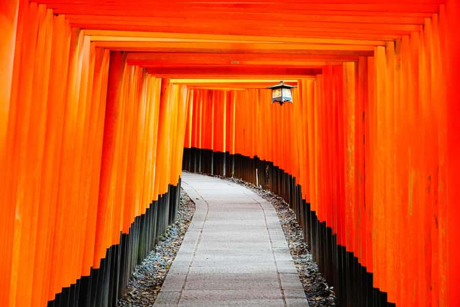 Osaka/Kyoto: Arashiyama, Nara & Fushimi Inari Shrine w/Lunch - Kobe beef shabu-shabu in a century-old Kyoto townhouse