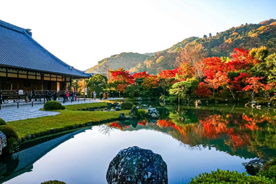 Osaka/Kyoto: Arashiyama, Nara & Fushimi Inari Shrine w/Lunch - Nara Park and Todai-ji: deer, etiquette, and Japan’s giant Buddha