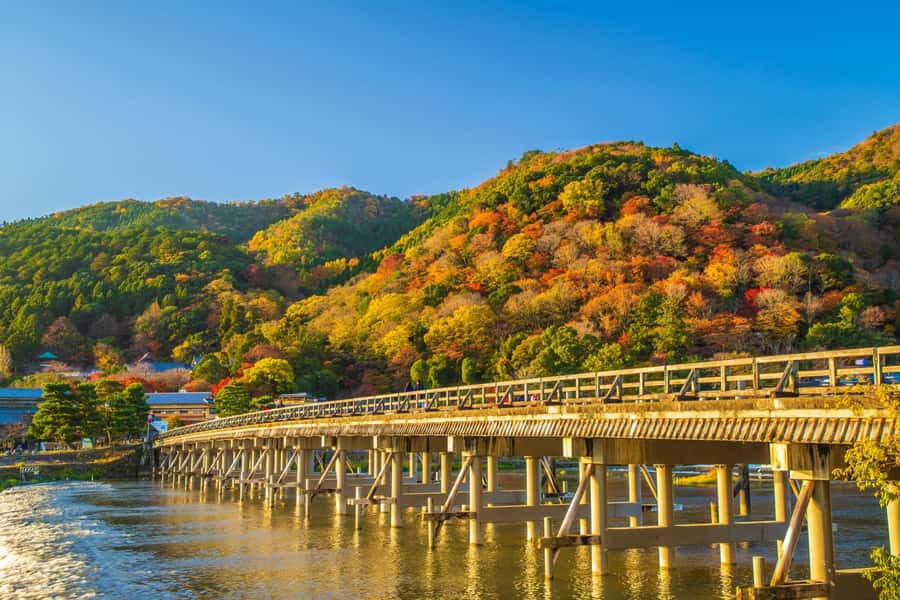 Osaka/Kyoto: Arashiyama, Nara & Fushimi Inari Shrine w/Lunch - Fushimi Inari Shrine: the famous red torii gates