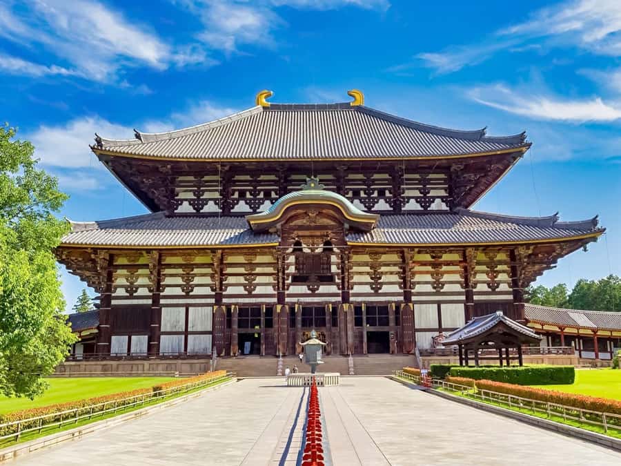 Osaka/Kyoto: Arashiyama, Nara & Fushimi Inari Shrine w/Lunch - Heat, crowds, and what to pack