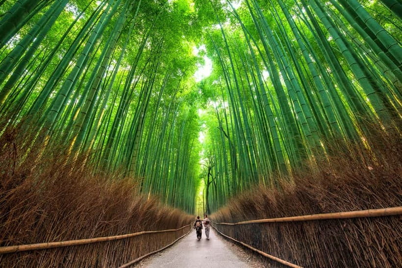 Osaka/Kyoto: Katsuoji, Kinkakuji, Arashiyama 1-Day Bus Tour - Kinkakuji brings a golden finish