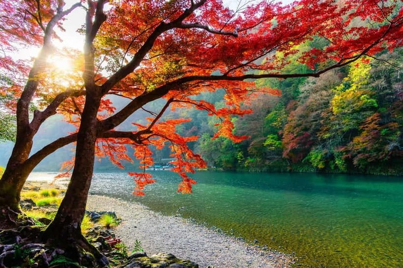 Osaka/Kyoto: Katsuoji, Kinkakuji, Arashiyama 1-Day Bus Tour - The guide can make the tight schedule easier