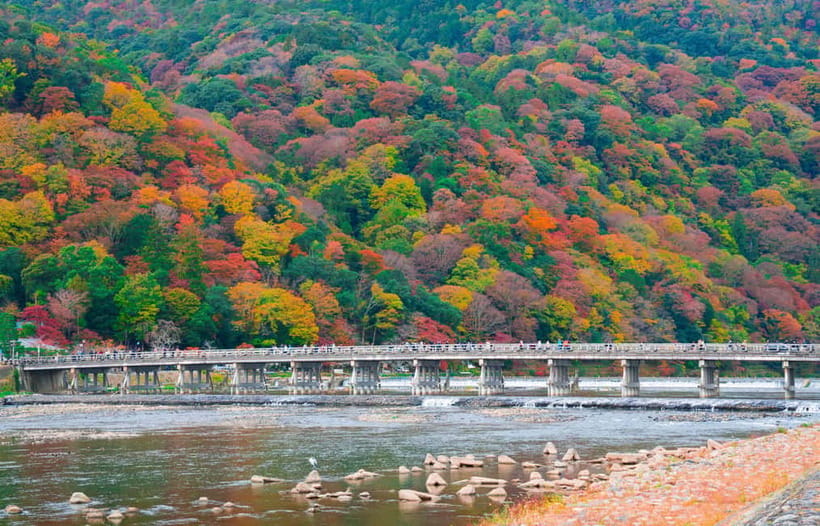 Osaka/Kyoto: Katsuoji, Kinkakuji, Arashiyama 1-Day Bus Tour - What to bring and how to handle the day